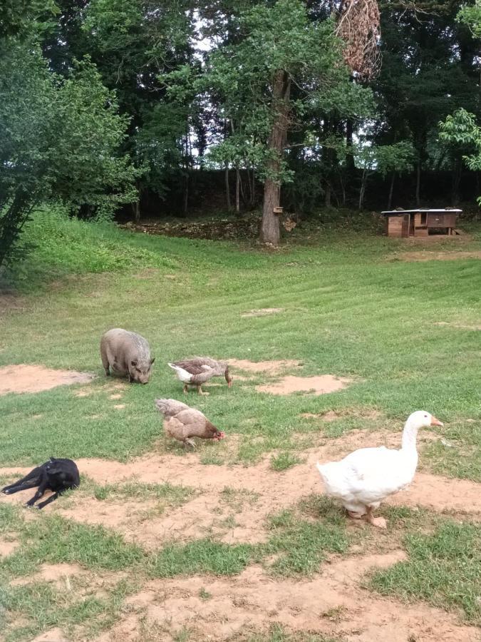 Git'an Perigord La Bonne Aventure Campsite Grolejac